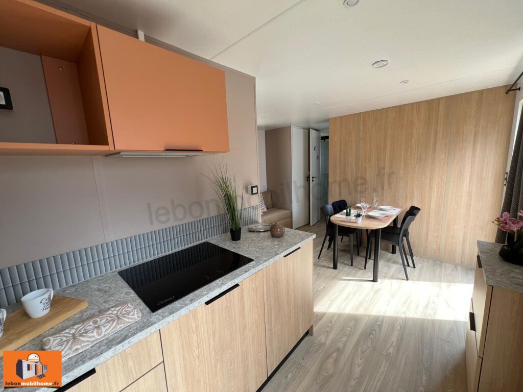 Mobil-home LOUISIANE GRAND LARGE 2 - 1