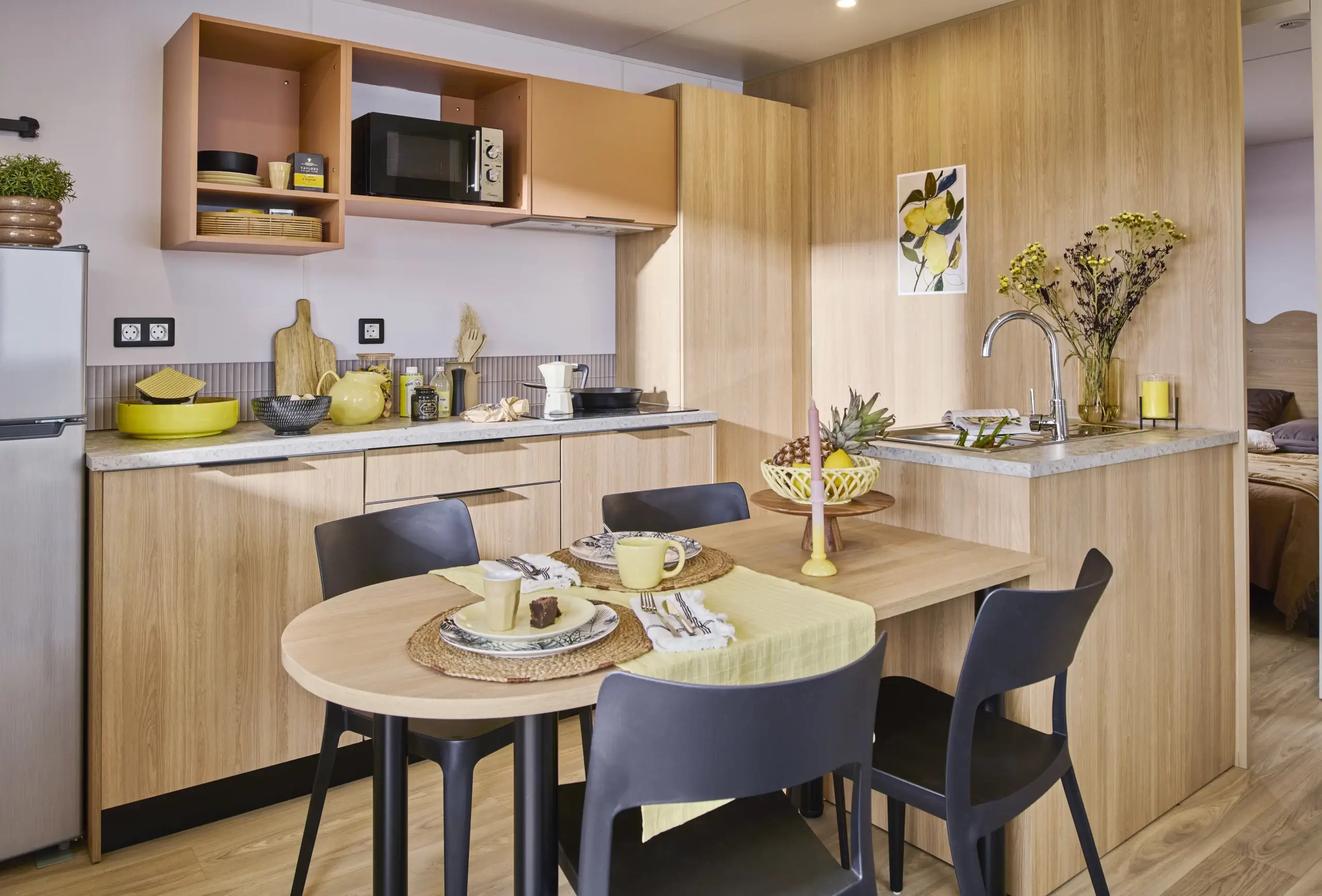 Mobil-Home NeufLOUISIANE MÉDITERRANÉE GRAND AIR