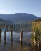 Savoie – Parcelle au Bord du Lac - 4