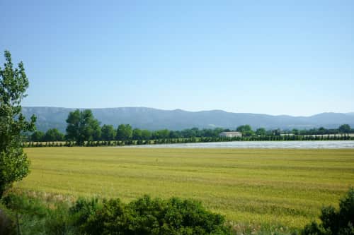 Bouches-du-Rhône- Parcelles dans le Luberon - 7426