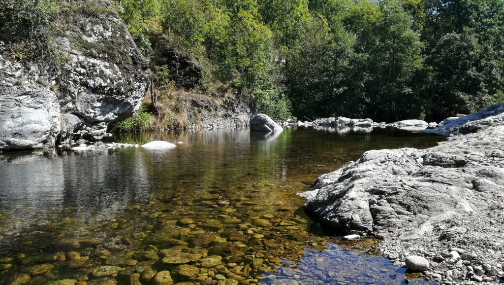 Ardèche- Des parcelles au cœur de la Nature - 7443