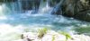 Ardèche- Des parcelles au cœur de la Nature - 15