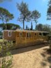 IRM CAPUCINE AU PIED DE LA COLLINE - 